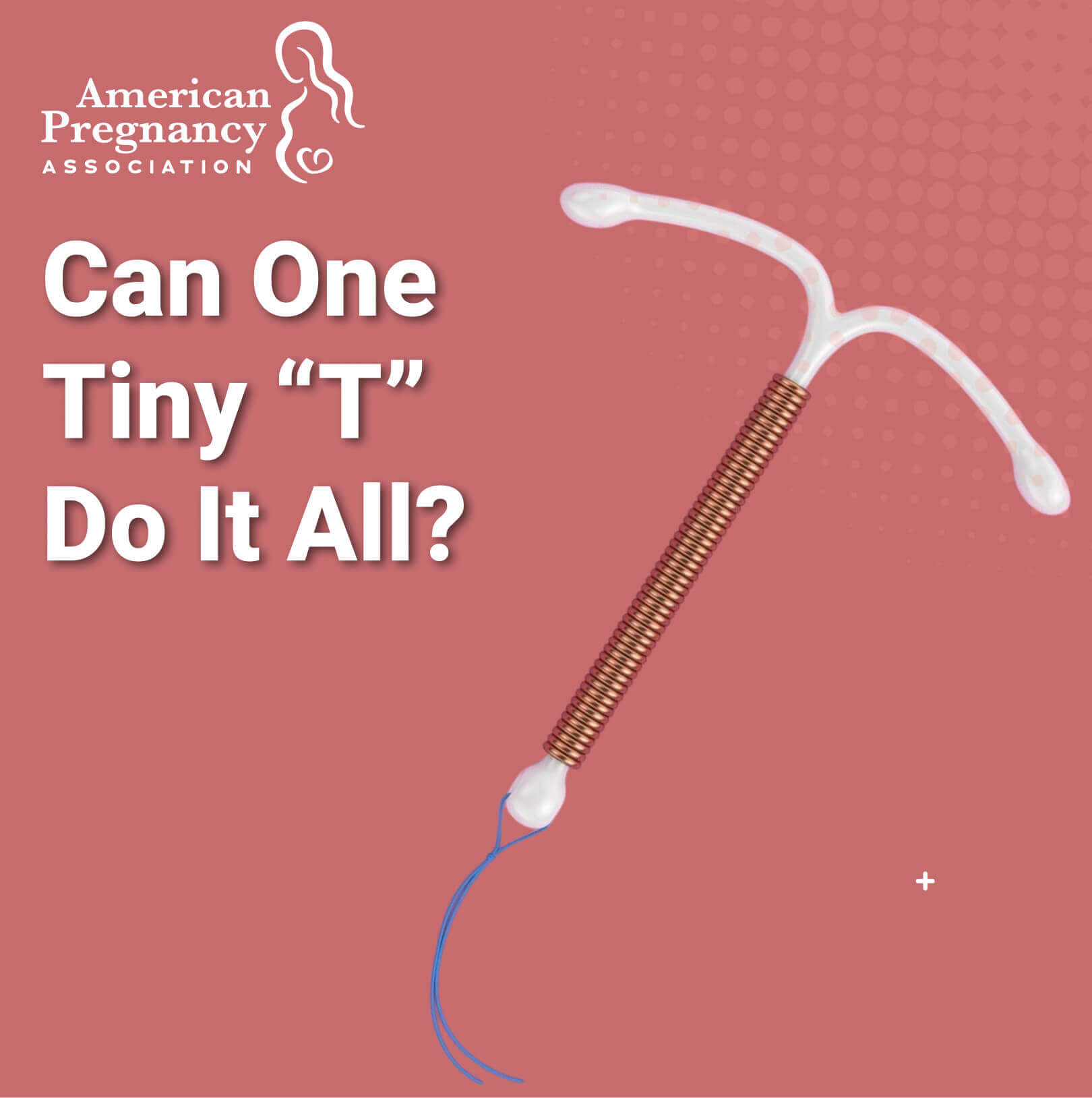 Can One Tiny T Do It All